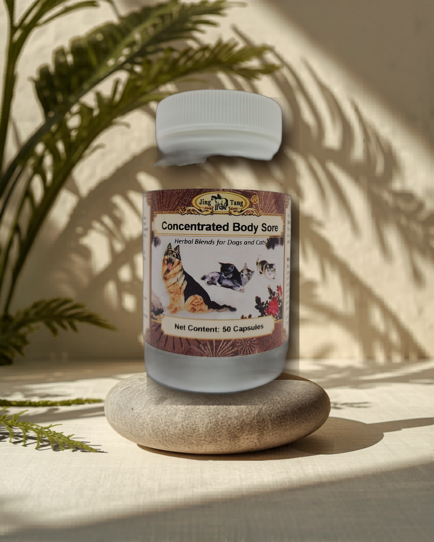 Jing Tang Herbals: Concentrated Body Sore 0.2g capsule (50 capsule bottle)