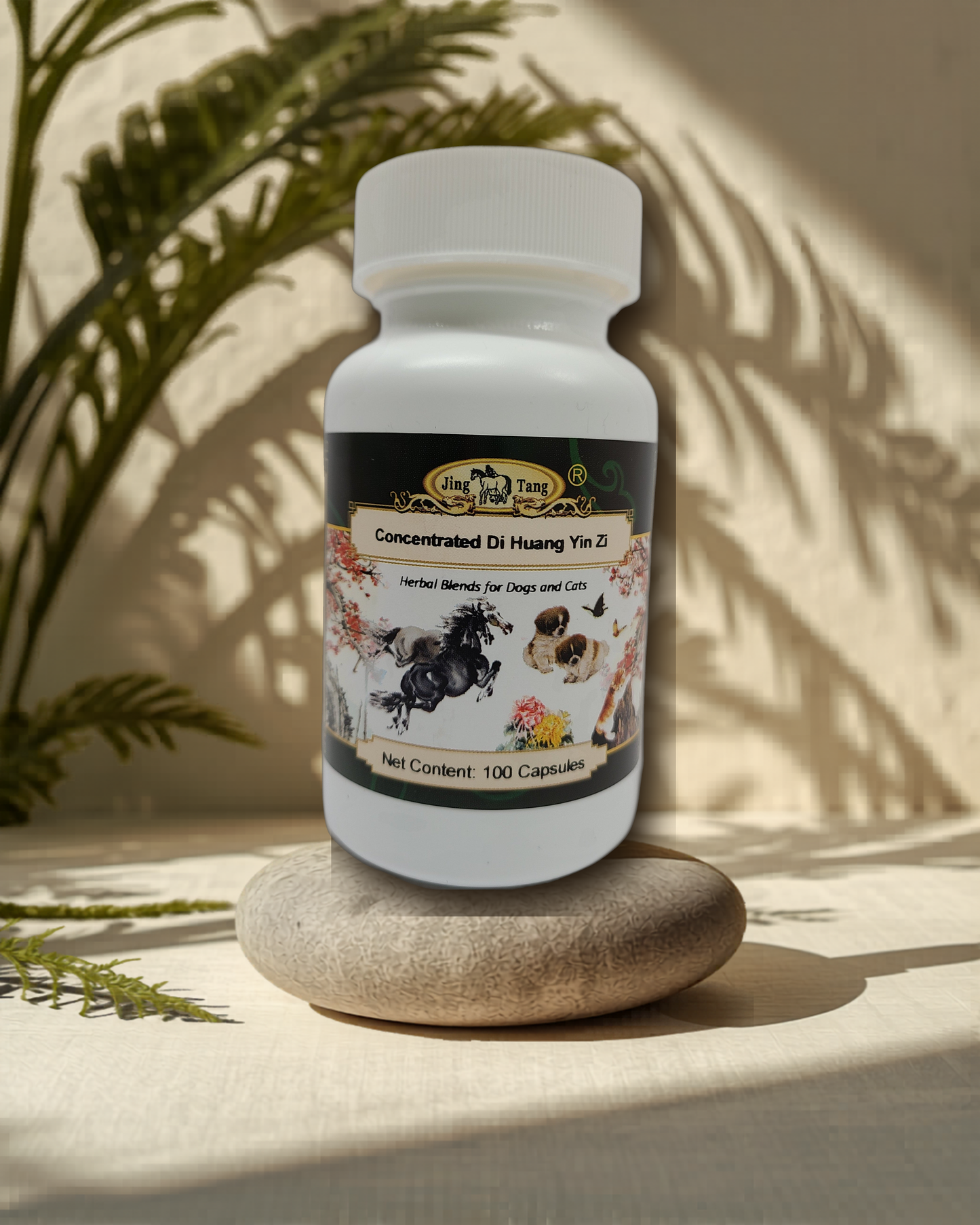Jing Tang Herbals: Concentrated Di Huang Yin Zi 0.5g capsule (100 capsule bottle)