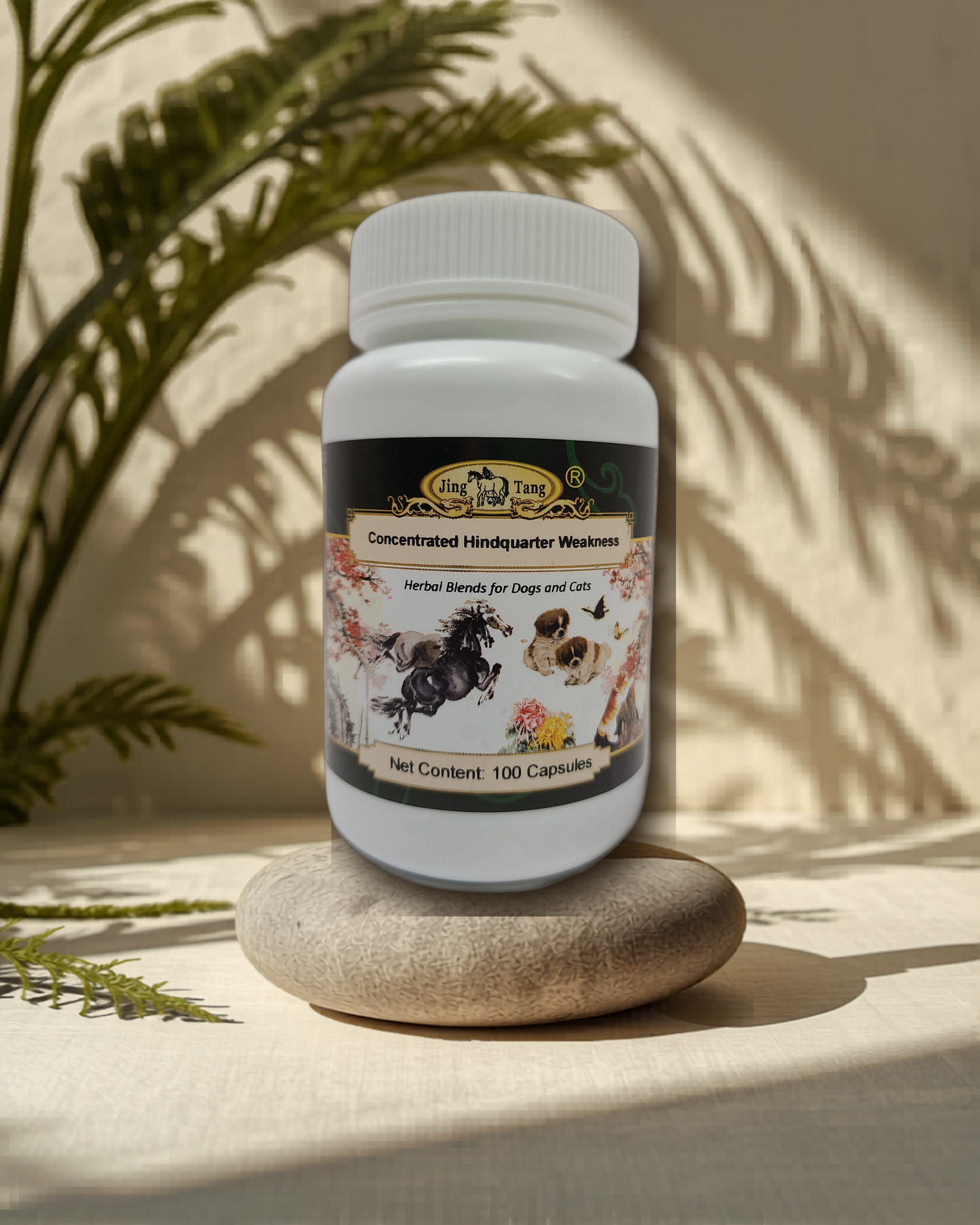 Jing Tang Herbals: Concentrated Hindquarter Weakness 0.5g capsule (100 capsule bottle)