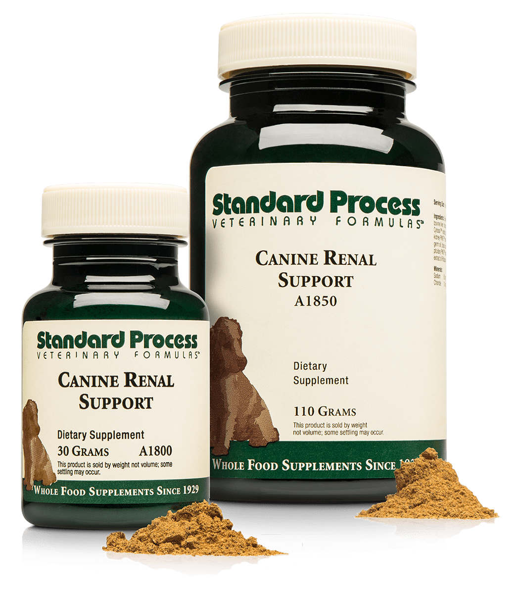 Standard Process Canine Renal Support 110g powder
