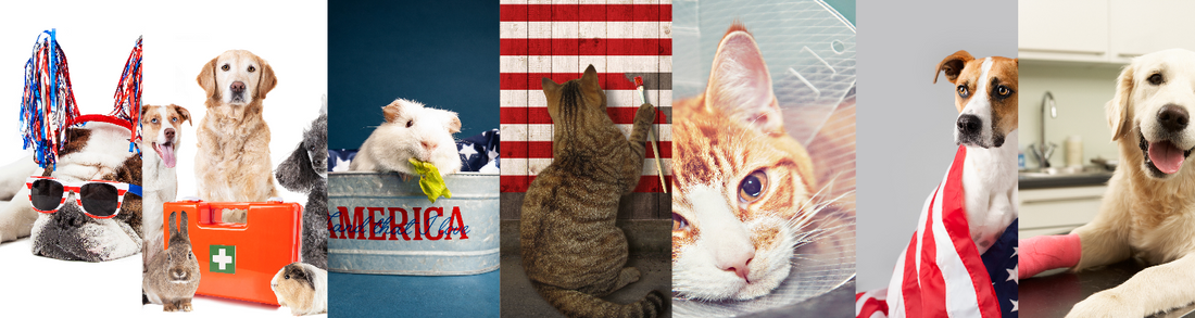 Happy Fourth of July