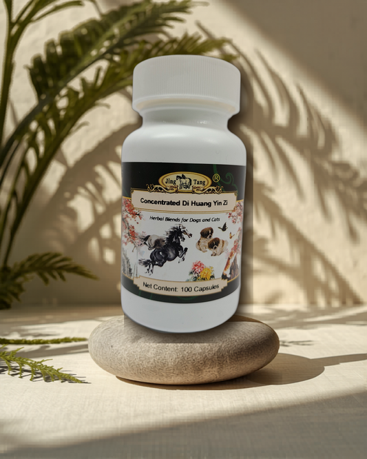 Jing Tang Herbals: Concentrated Di Huang Yin Zi 0.5g capsule (100 capsule bottle)