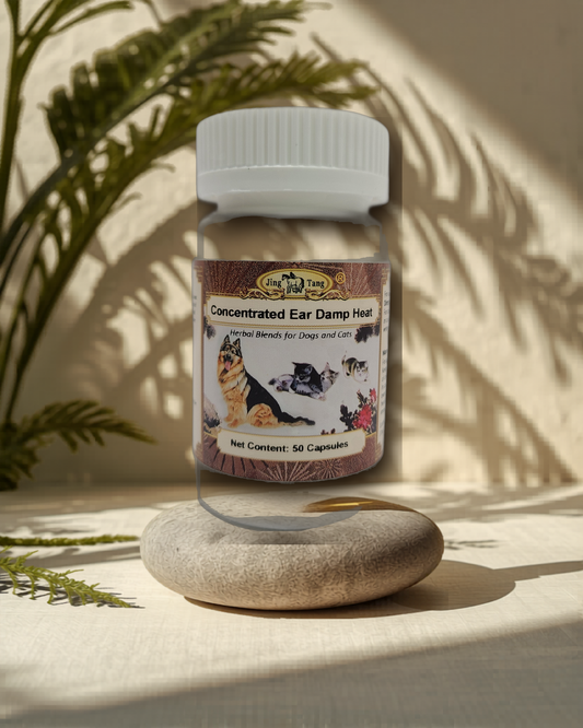 Jing Tang Herbals: Concentrated Ear Damp Heat 0.2g capsule (50 capsule bottle)