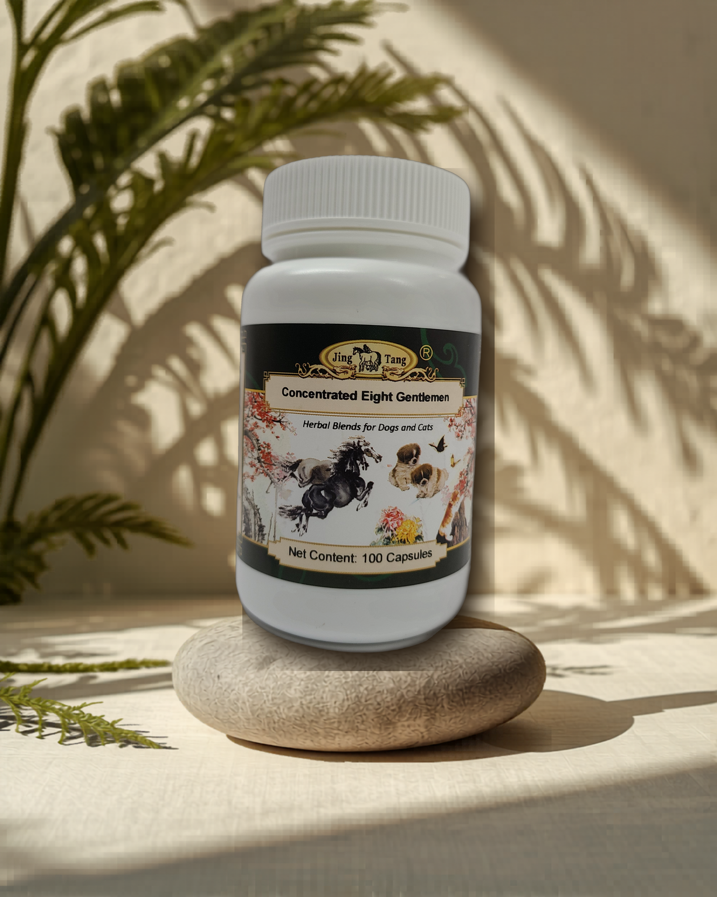 Jing Tang Herbals: Concentrated Eight Gentlemen 0.5g capsule (100 capsule bottle)