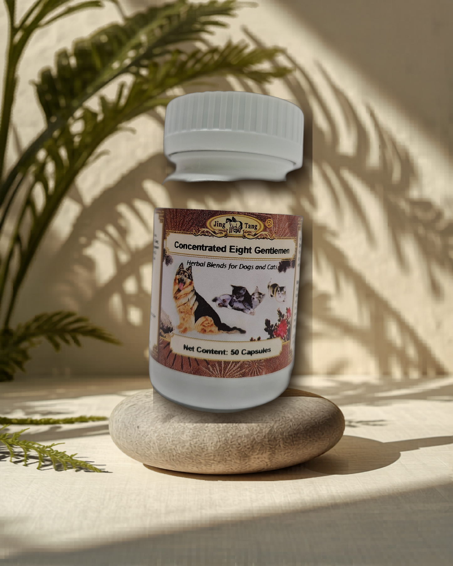 Jing Tang Herbals: Concentrated Eight Gentlemen 0.2g capsule (50 capsule bottle)