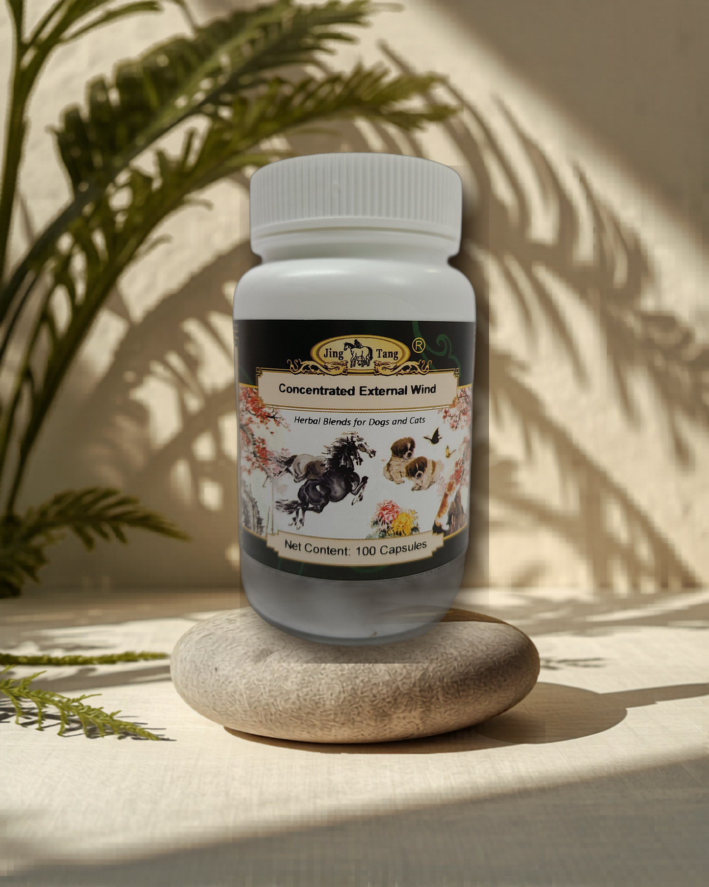 Jing Tang Herbals: Concentrated External Wind 0.5g capsule (100 capsule bottle)