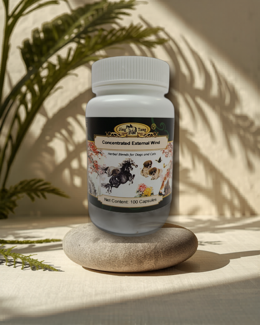 Jing Tang Herbals: Concentrated External Wind 0.5g capsule (100 capsule bottle)