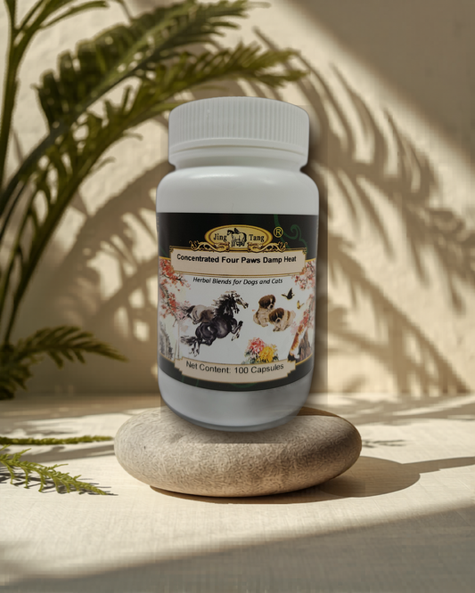 Jing Tang Herbals: Concentrated Four Paws Damp Heat 0.5g capsule (100 capsule bottle)