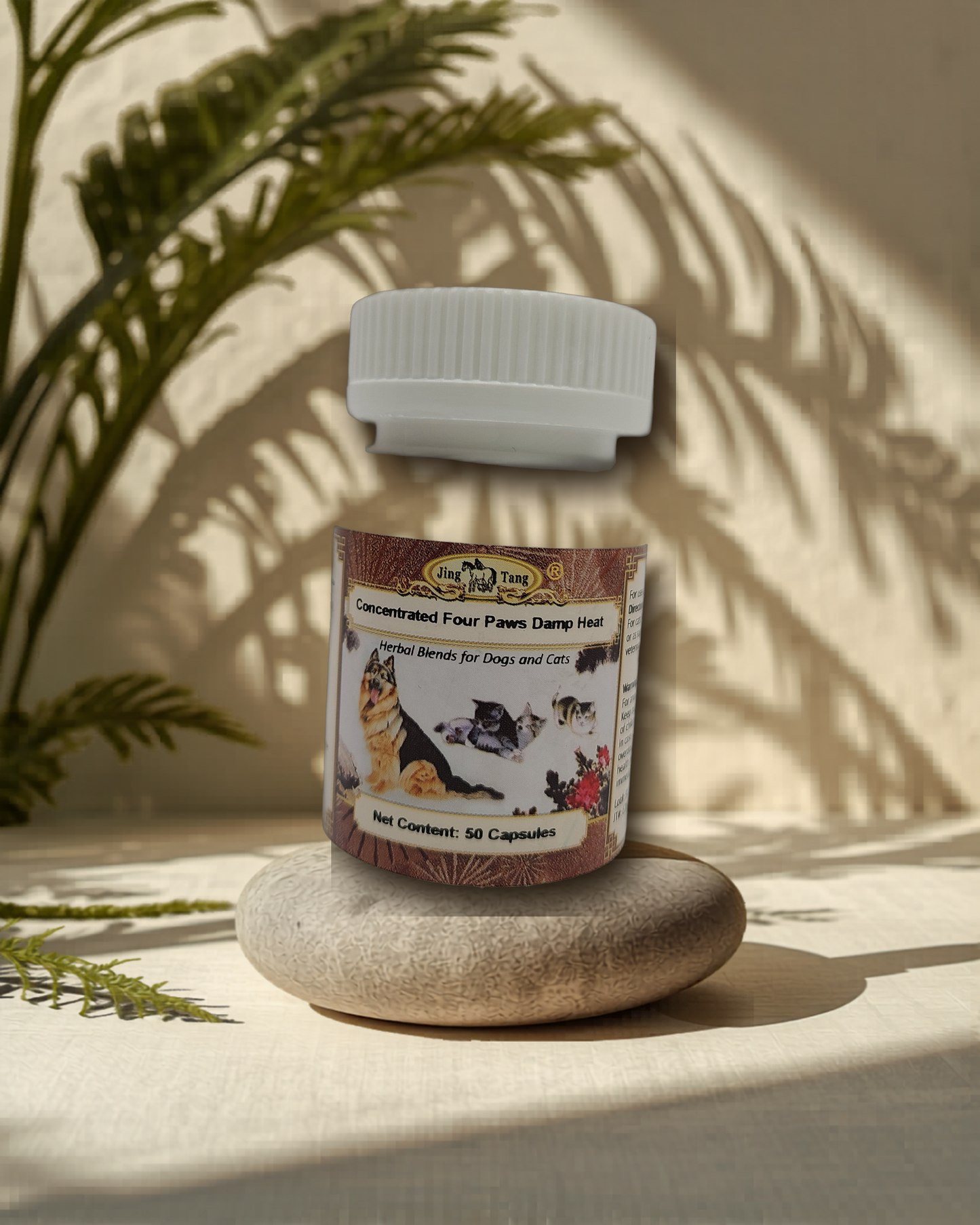 Jing Tang Herbals: Concentrated Four Paws Damp Heat 0.2g capsule (50 capsule bottle)