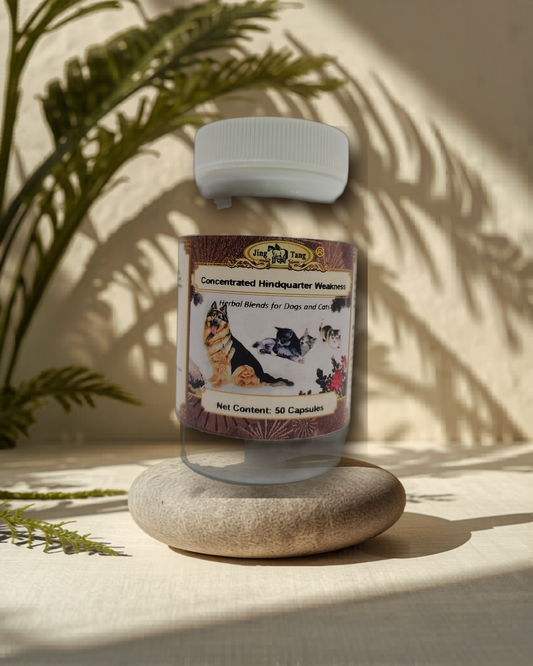 Jing Tang Herbals: Concentrated Hindquarter Weakness 0.2g capsule (50 capsule bottle)
