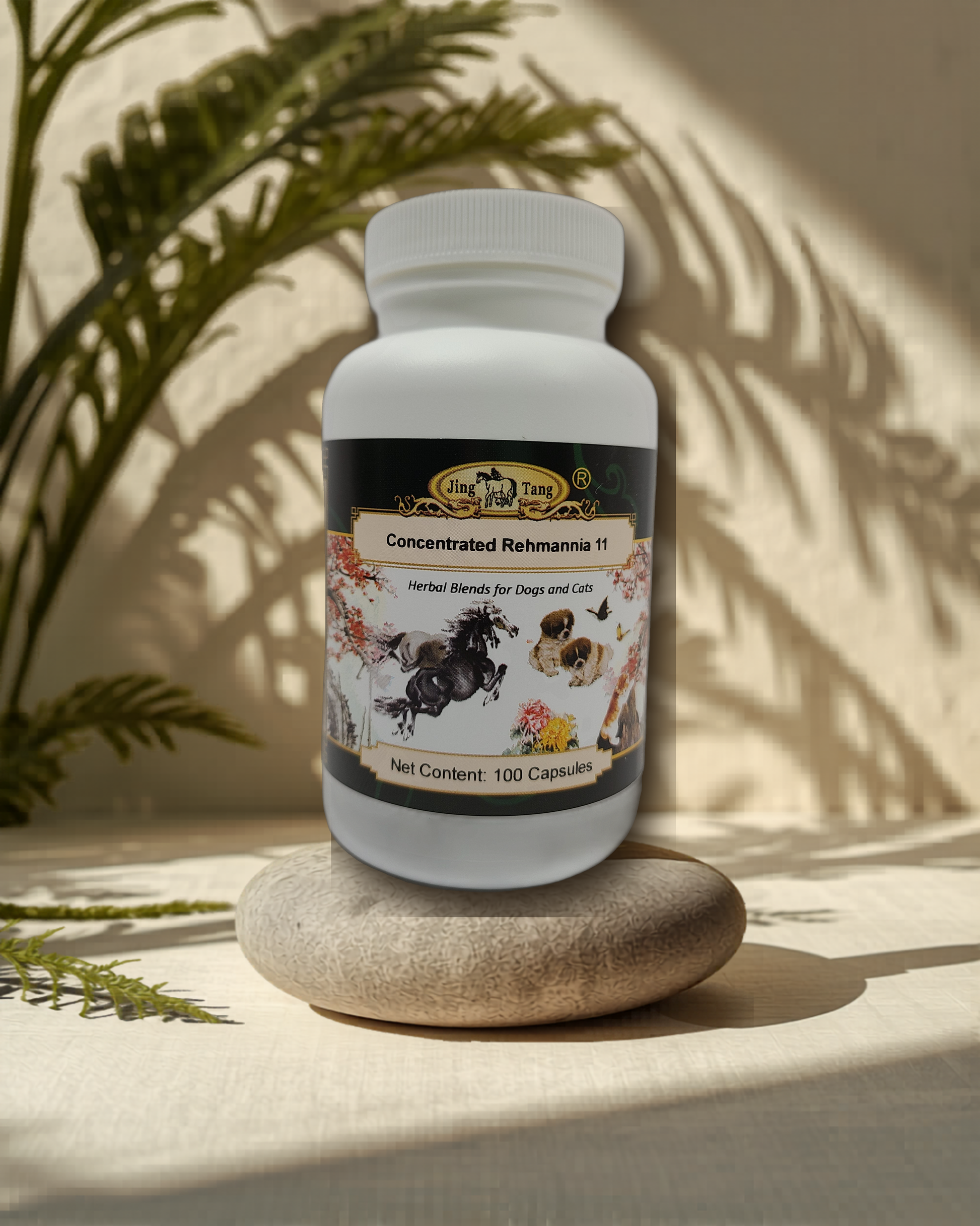 Jing Tang: Rehmannia 11 (100 capsules)