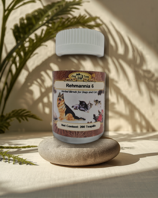 Jing Tang Herbals: Rehmannia 6  200 teapills (1 bottle)