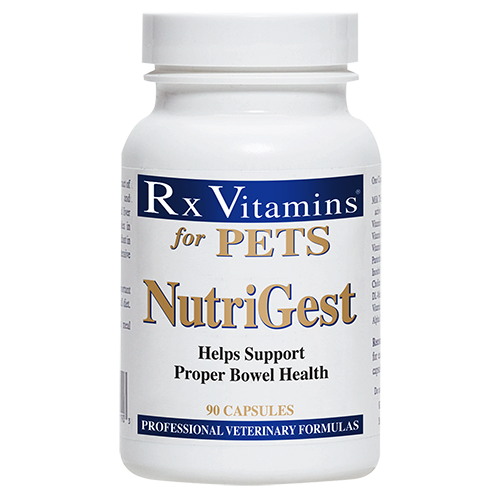 RX Vitamins NutriGest (90 Capsules)