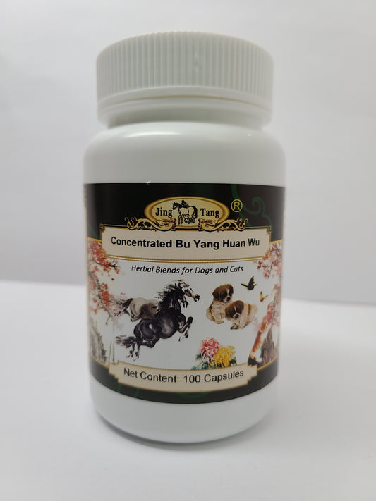 Jing Tang Herbals: Concentrated Bu Yang Huan Wu 0.5g capsule (100 capsule bottle)